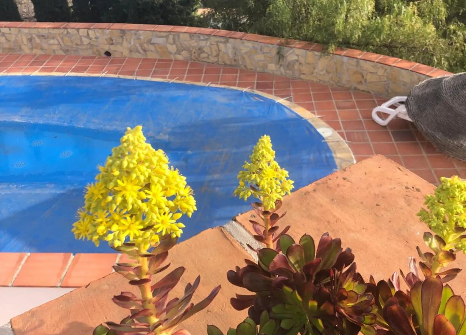 Finca La Estrella De Competa Spain