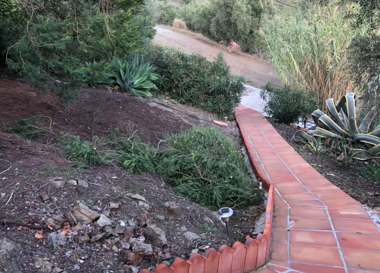 Finca La Estrella De Competa